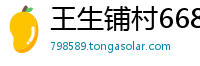 王生铺村6686体育